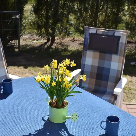 Berner Sennen Casa de Férias