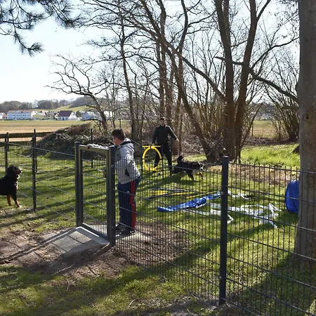 Berner Sennen Hagen (Ruhr)