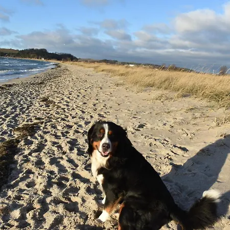 Berner Sennen Holiday home Thiessow