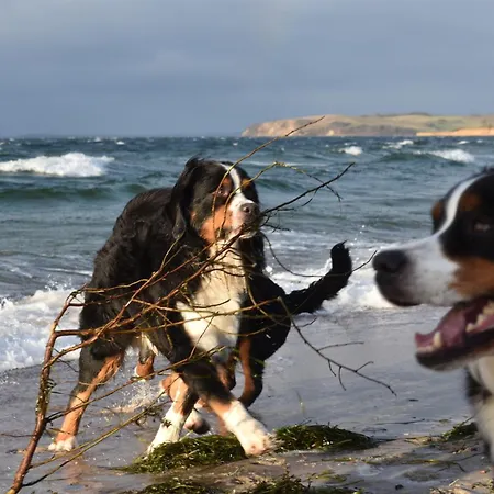 Tatil Evi Berner Sennen Thiessow